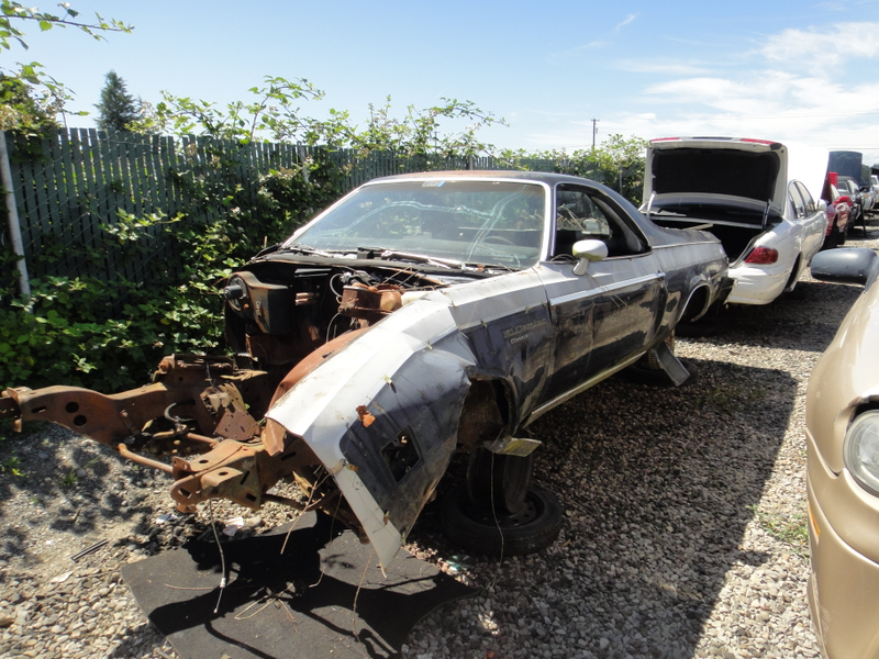 Illustration for article titled PNW Junkyard visit